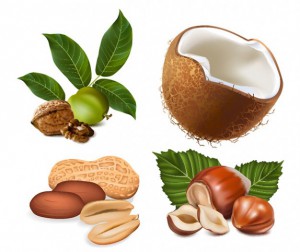 some-nuts-vector-material_15-9295